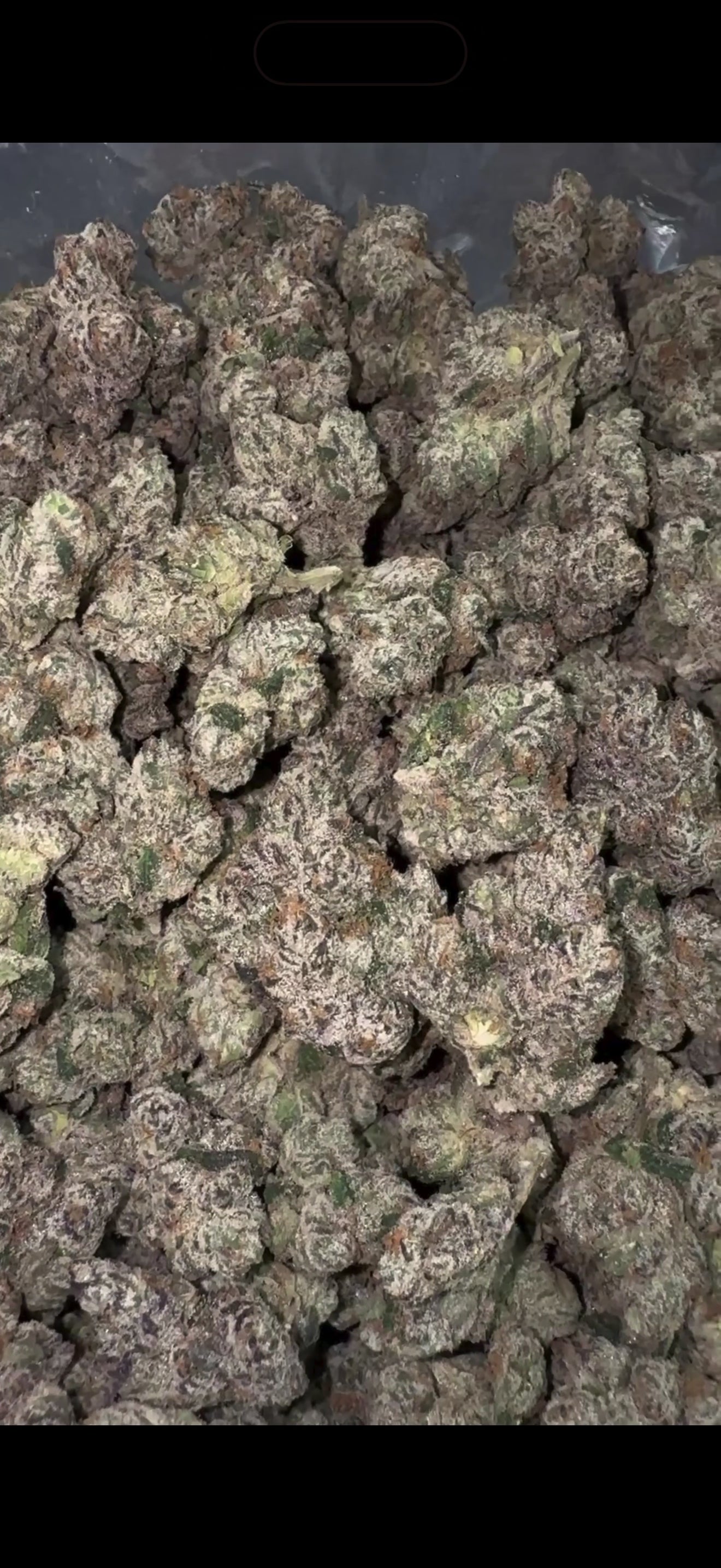 Rapper Za - Flower Top Shelf (Hemp) 20%